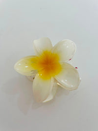 Presilha flor G