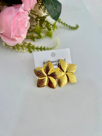 brinco dourado aço